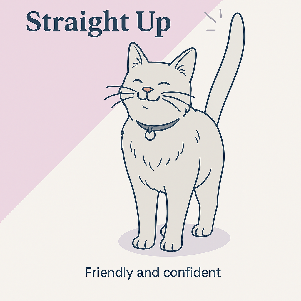 A picture of a friendly and confident cat showing house cat body langauge